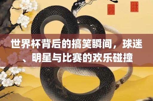 世界杯背后的搞笑瞬间，球迷、明星与比赛的欢乐碰撞