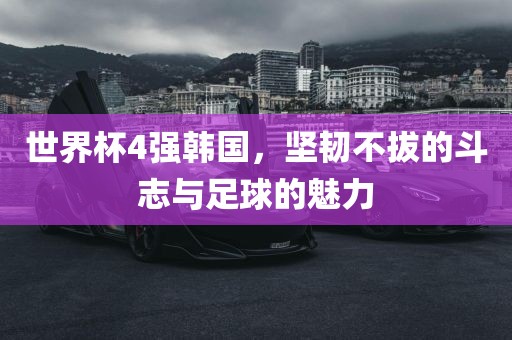 世界杯4强韩国，坚韧不拔的斗志与足球的魅力