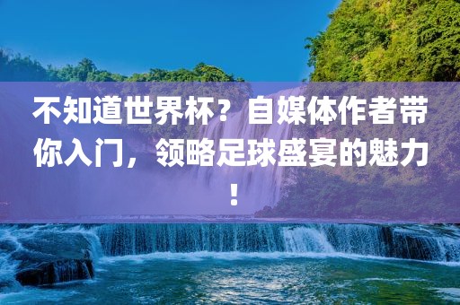 不知道世眉山市正发家政服务有限公司界杯？自媒体作者带你入门，领略足球盛宴的魅力！