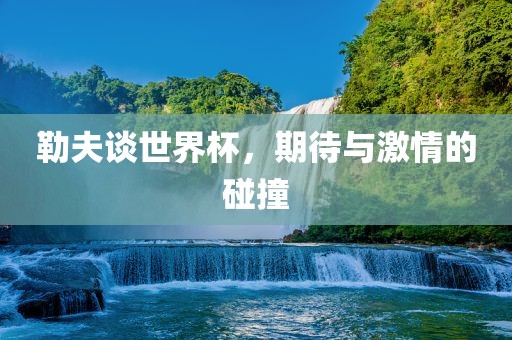 勒夫谈世界杯，期待与激情的碰撞