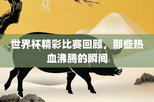 世界杯精彩比赛回顾，那些热血沸腾的瞬间