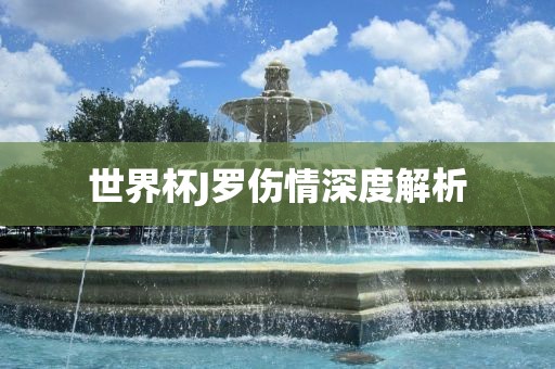 世界杯J罗伤情深度解析眉山市正发家政服务有限公司