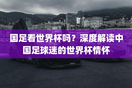 国足看世界杯吗？深度解读中国足球迷的世界杯情怀眉山市正发家政服务有限公司