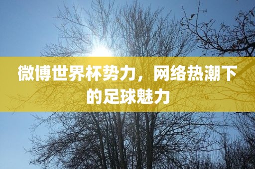 微博世界杯势力，网络热潮下的足球魅力