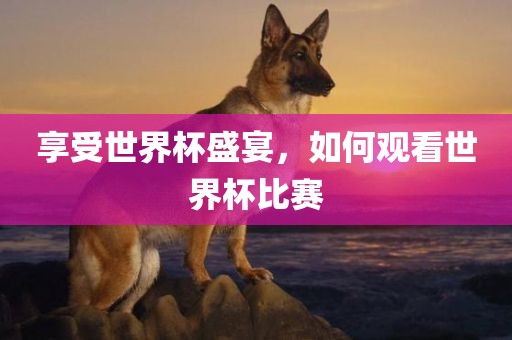 享受世界杯盛宴，如何观看世界杯比赛