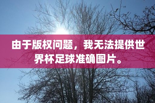 由于版权问题，我无法提供世界杯足球准确图片。眉山市正发家政服务有限公司