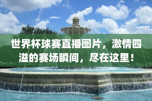 世界杯球赛直播图片，激情四溢的赛场瞬间眉山市正发家政服务有限公司，尽在这里！