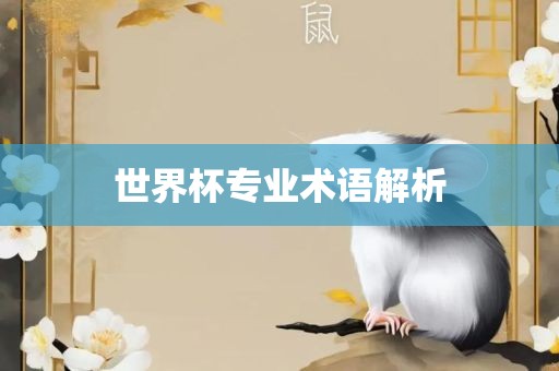 世界杯专业术语解析眉山市正发家政服务有限公司