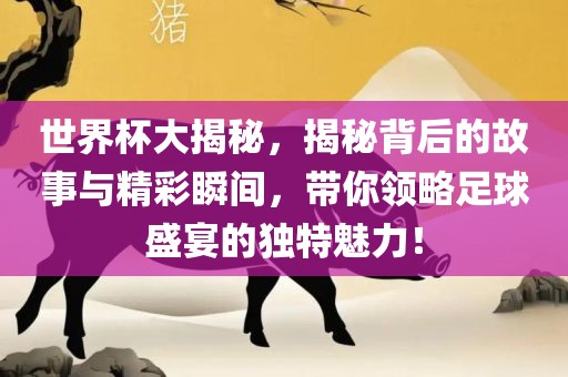 世界杯大揭秘，揭秘背后的故事与精彩瞬间，带你领略足球盛宴的独特魅力！