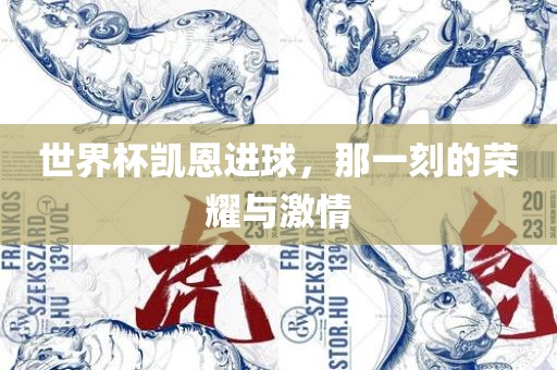 世界杯凯恩进球，那一刻的荣耀与激情