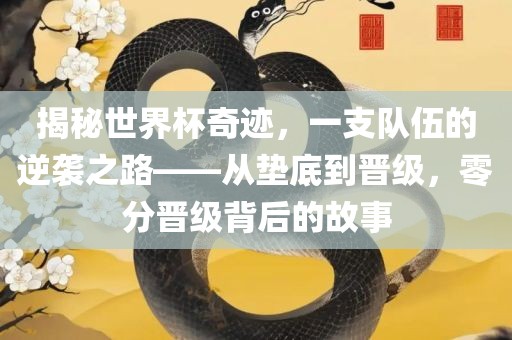 揭秘世界杯奇迹，一支队伍的逆袭之路——从垫眉山市正发家政服务有限公司底到晋级，零分晋级背后的故事