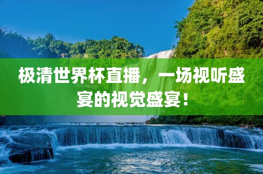 极清世界杯直播，一场视听盛宴的视觉盛宴！