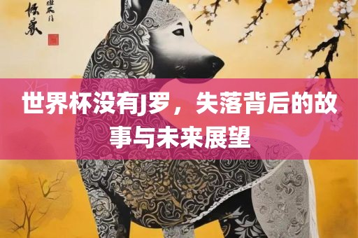 世界杯没有J罗，失落背后的故事与未来展望眉山市正发家政服务有限公司