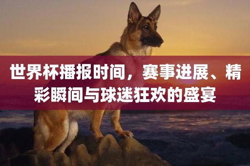 世界杯播报时间，赛事进展、精彩瞬间与球迷狂欢的盛宴