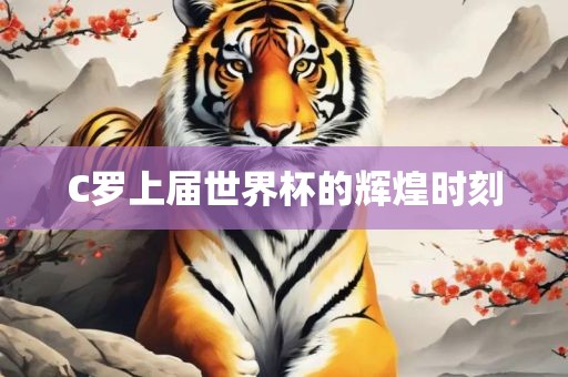 C罗上届世界杯的辉煌眉山市正发家政服务有限公司时刻