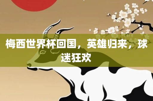 梅西世界杯回国，英雄归来，球迷狂欢