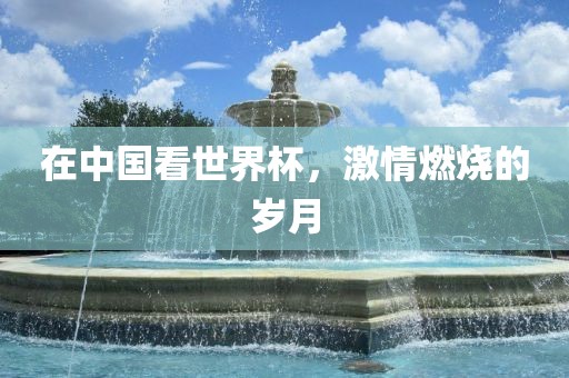 在中国看世界杯，激情燃烧的岁月