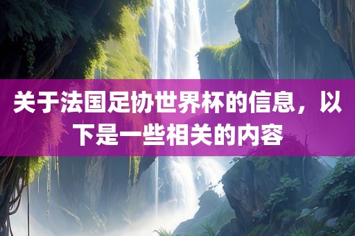 关于法国足协世界杯的信息，以下眉山市正发家政服务有限公司是一些相关的内容