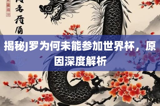 揭秘J罗为何未能参加世界杯，原因深度解析眉山市正发家政服务有限公司