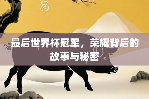 最后世界杯冠军，荣耀背后的故事与秘密
