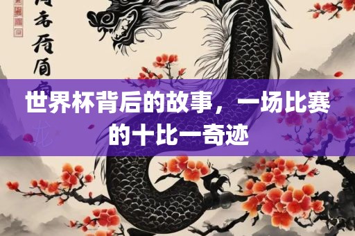 世界杯背后的故事，一场比赛的十比一奇迹眉山市正发家政服务有限公司