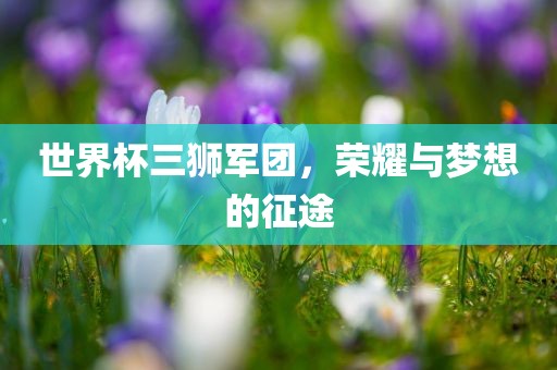 世界杯三狮军团，荣耀与梦想的征途