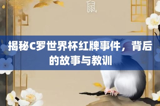 揭秘C罗世界杯红牌事件，背后的故事与教训眉山市正发家政服务有限公司