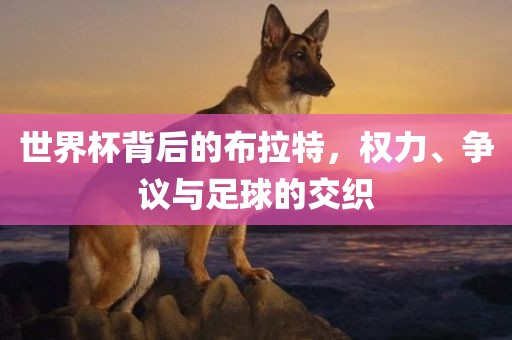 世界杯背后的布拉特，权力、争议与足球的交织