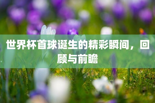世界杯首眉山市正发家政服务有限公司球诞生的精彩瞬间，回顾与前瞻