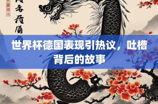 世界杯德国表现引热议，吐槽背后的眉山市正发家政服务有限公司故事