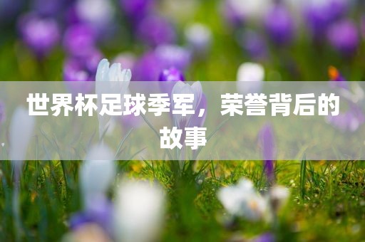 世界杯足球季军，荣誉背后的故事眉山市正发家政服务有限公司