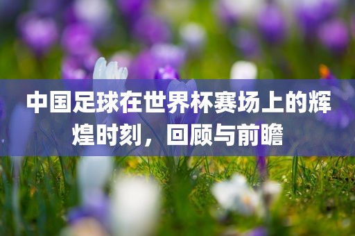中国足球在世界杯赛场上的辉煌时刻，回顾与前瞻