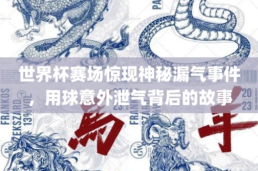世界杯赛场惊现神秘漏气事件，用球意外泄气背后的故事眉山市正发家政服务有限公司