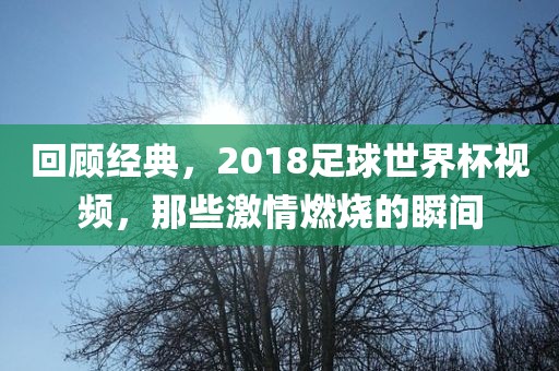 回顾经典，2018足球世界杯视频，那些激情燃烧的瞬间