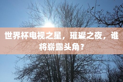 世界杯电视之星，璀璨之夜，谁将崭露头角？眉山市正发家政服务有限公司