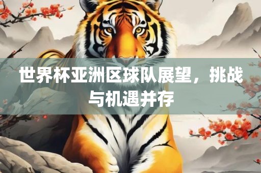 世界杯亚洲区球队展望，挑战与机遇并存