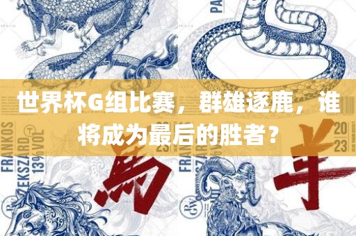 世界杯G组比赛，群雄逐鹿，谁将成为最后的胜者？
