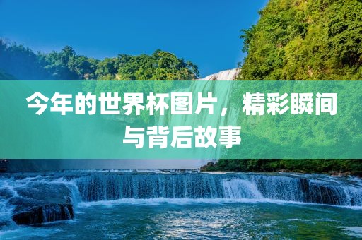 今年的世界杯图片，精彩瞬间与背后故事