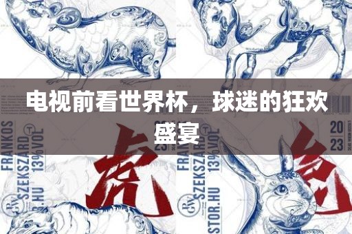 电视前看世界杯，球迷的狂眉山市正发家政服务有限公司欢盛宴