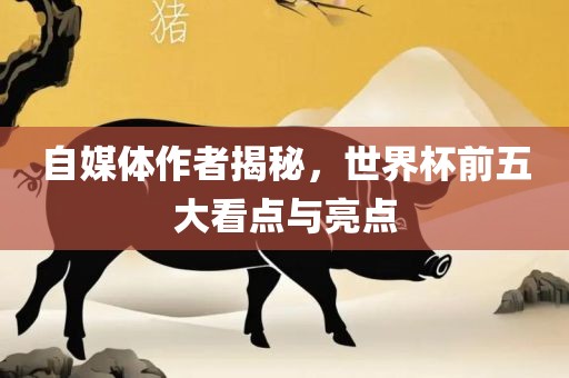 自媒体作者揭秘，世界杯前五大看点与亮点