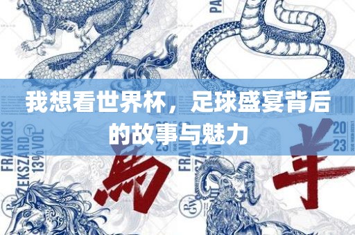 我想看世界杯，足球盛宴背后的故事与魅力