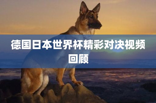 德国日本世界杯精彩对决视频回顾