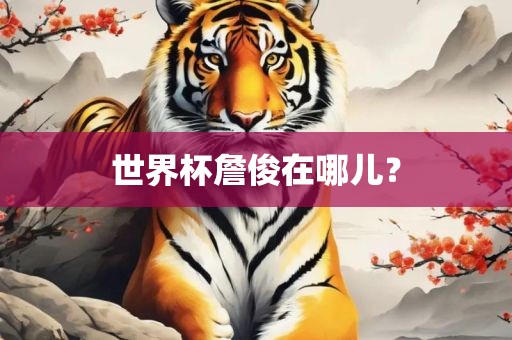 世界杯詹俊在哪儿？