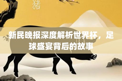新民晚报深度解析世界杯，足球盛宴背后的故事