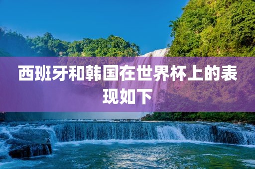 西班牙和韩国在世界杯上的表现如下眉山市正发家政服务有限公司