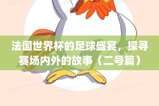 法国世界杯的足球盛宴，探寻赛场内外的故事（二号篇）