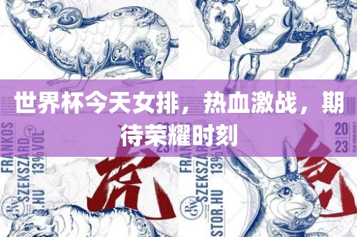 世界杯今天女排，热血激战，期待荣耀时刻