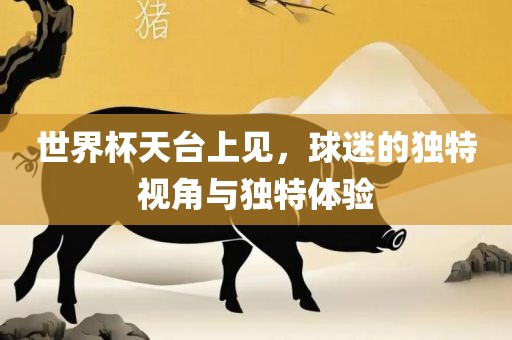 世界杯天台上见，球迷的独特视角与独特体验