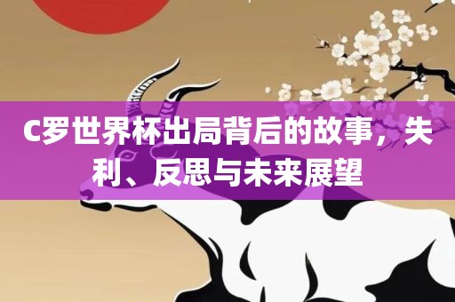 C罗世界杯出局背后的故事，失利、反思与未来展望眉山市正发家政服务有限公司