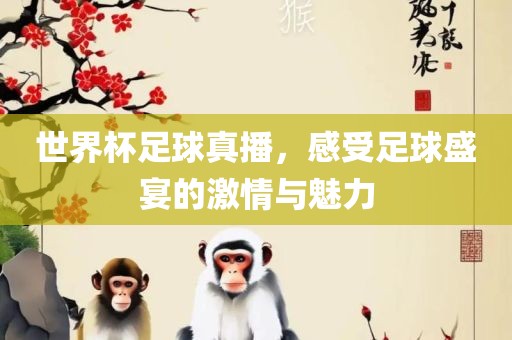 世界杯足球真播，感受足球盛宴的激情与魅力